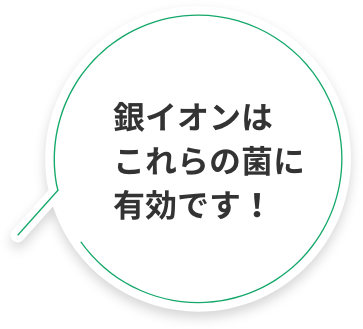 銀イオンはこれらの菌に有効です！