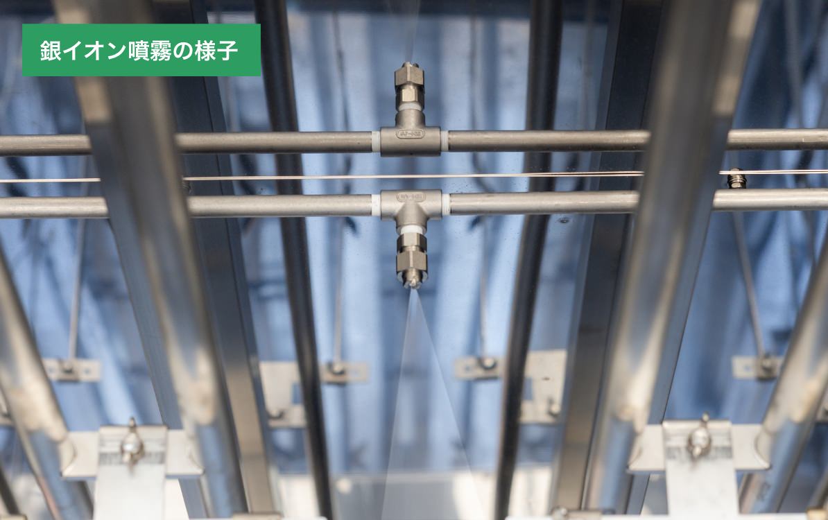 銀イオン噴霧の様子
